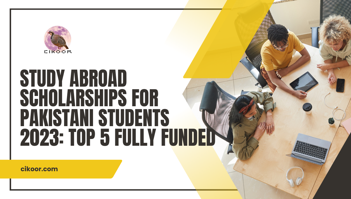 Study Abroad Scholarships for Pakistani Students 2023: Top 5 Fully Funded