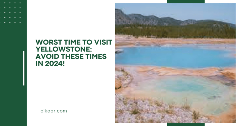 Worst Time to Visit Yellowstone: Avoid These Times in 2024!